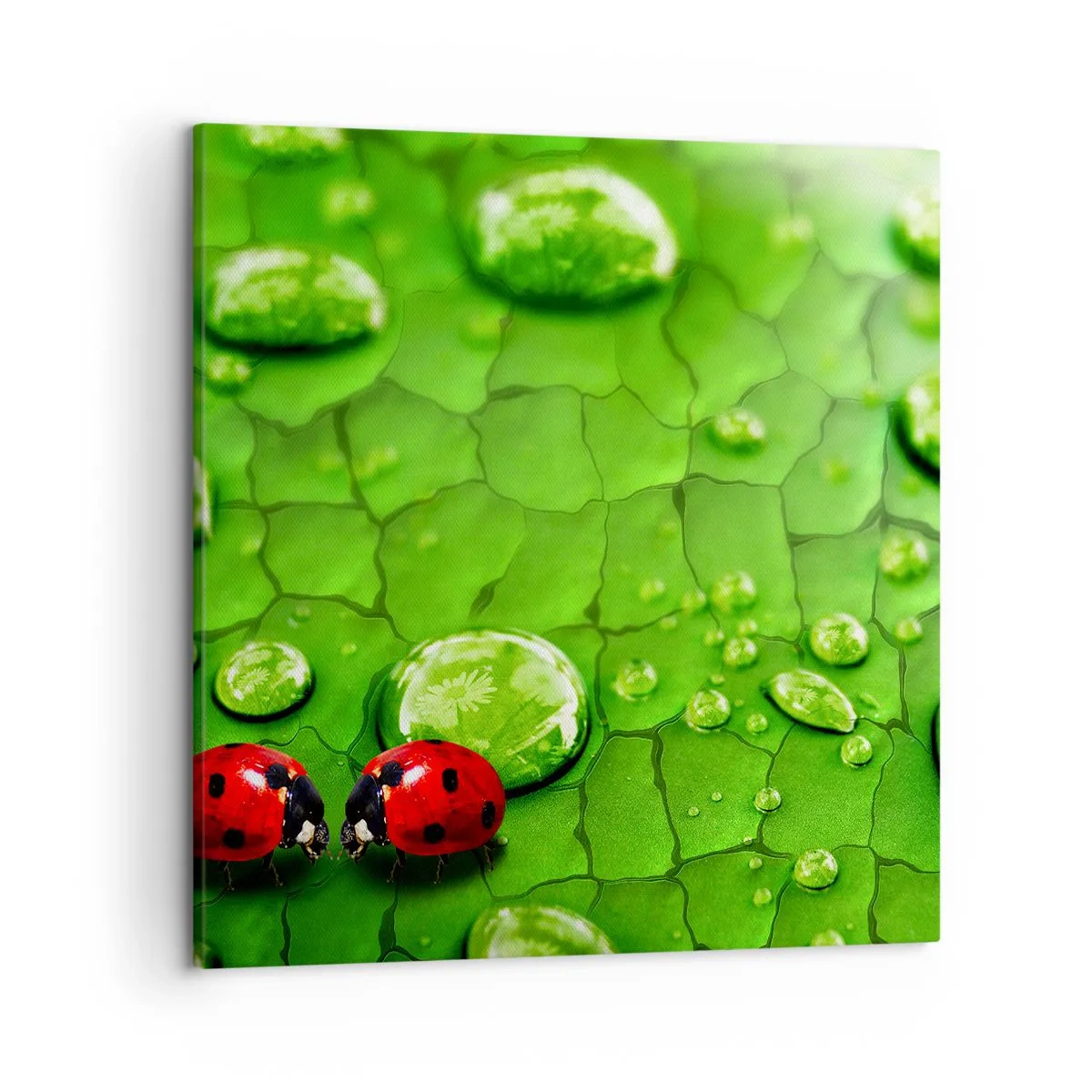 Cuadro sobre lienzo - Impresión de Imagen - Reunión sobre verde - 50x50 cm