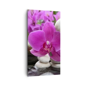 Cuadro sobre lienzo - Impresión de Imagen - Ya estás descansando - 55x100 cm