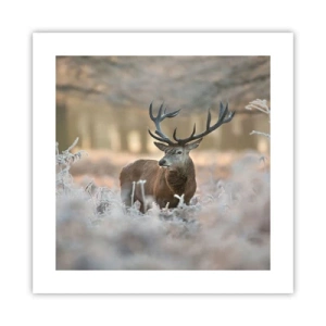 Póster - Una mañana fresca - 40x40 cm