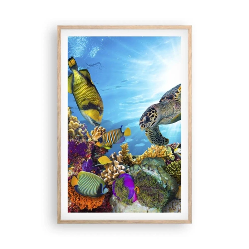Póster en marco roble claro - Paseo del coral - 61x91 cm