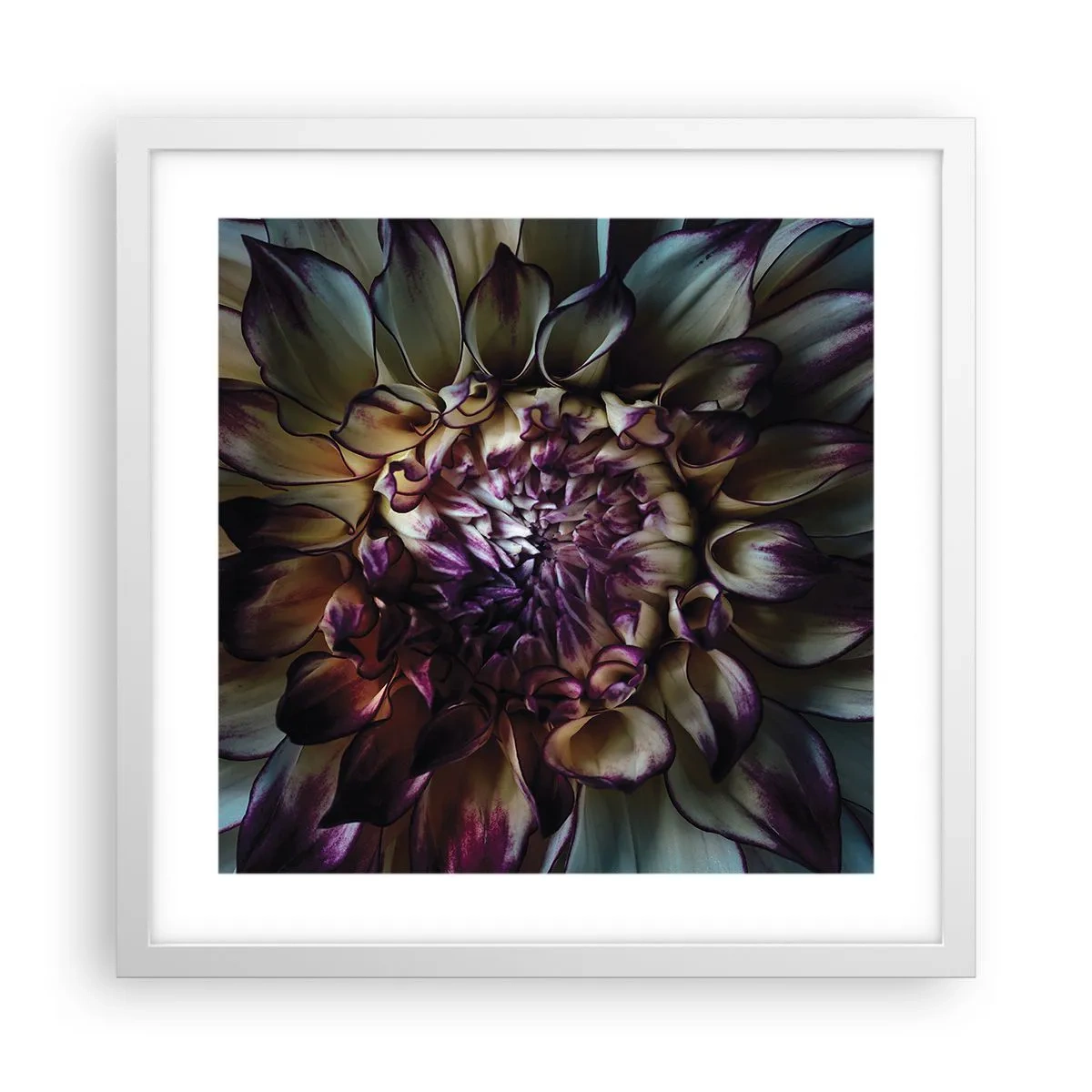 Póster en marco blanco - El florecimiento de la hermosura - 40x40 cm