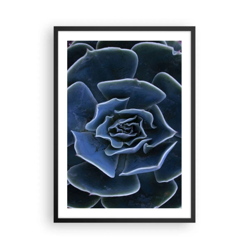 Póster en marco negro - Primer plano artístico de un patrón geométrico suculento - 50x70cm - Flor del desierto - Decoración de pared moderna para salón y dormitorio ARTTOR