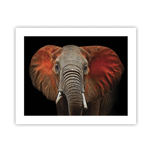 Póster - Soy salvaje, ¿y tú? - 50x40 cm