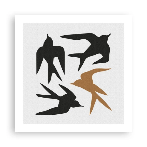Póster - Juegos de golondrinas - 50x50 cm