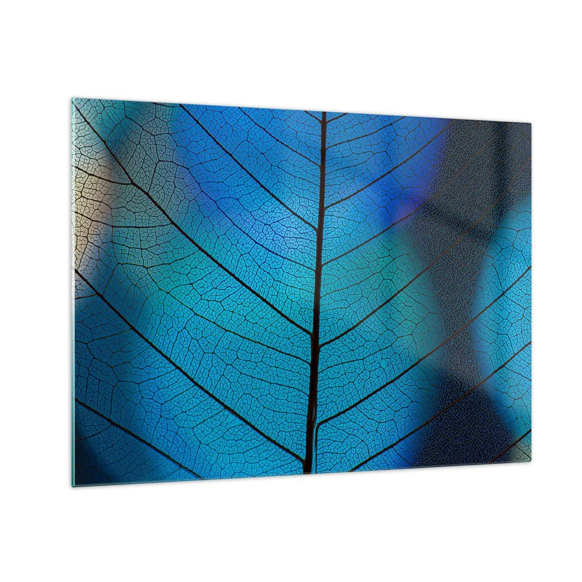 Cuadro sobre vidrio - Impresiones sobre Vidrio - Un primer plano de una hoja azul que muestra la estructura de las nervaduras. - 70x50cm - Construcción intrincada - Decoración de pared moderna para salón y dormitorio ARTTOR