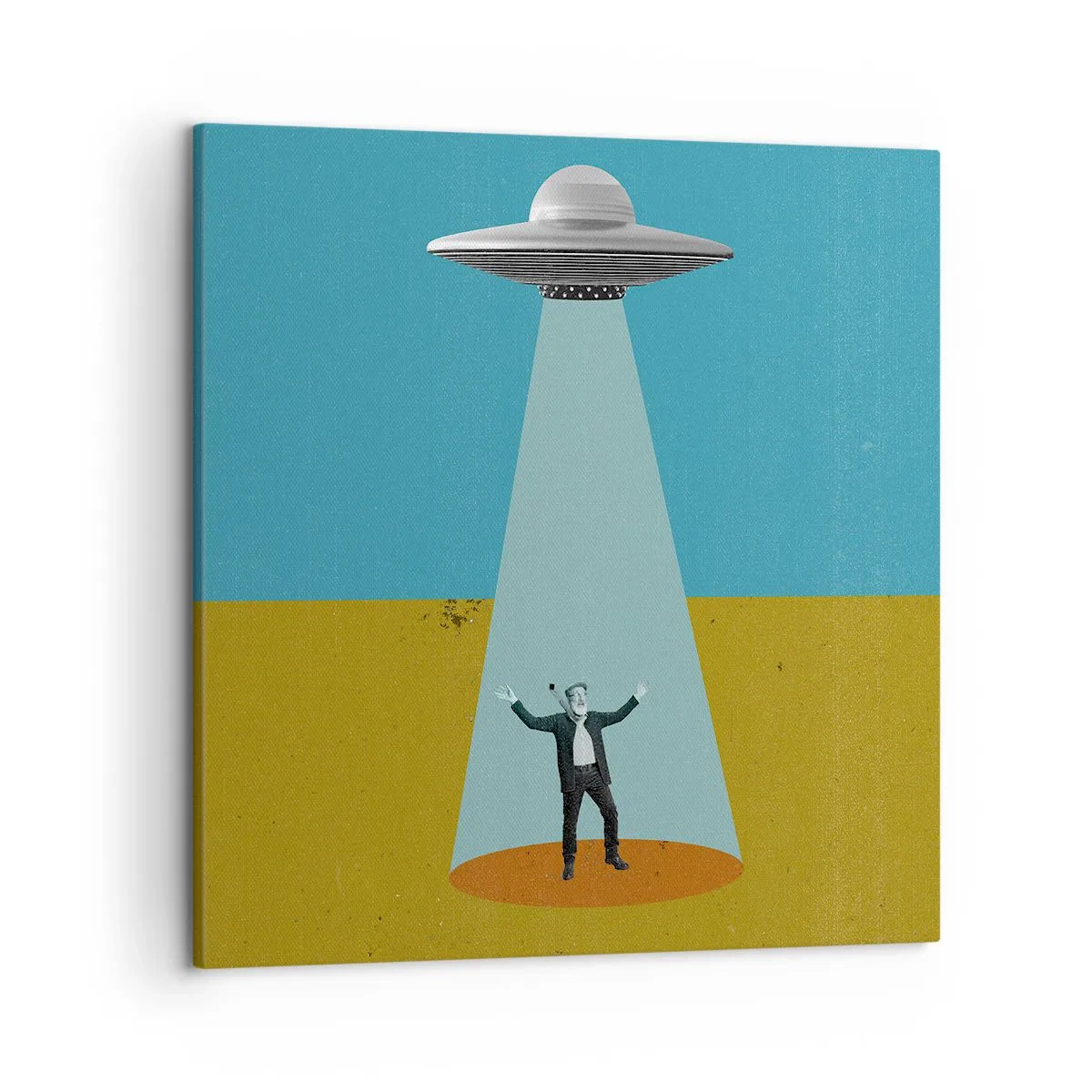 Cuadro sobre lienzo - Impresión de Imagen - Un encuentro cercano - 50x50 cm