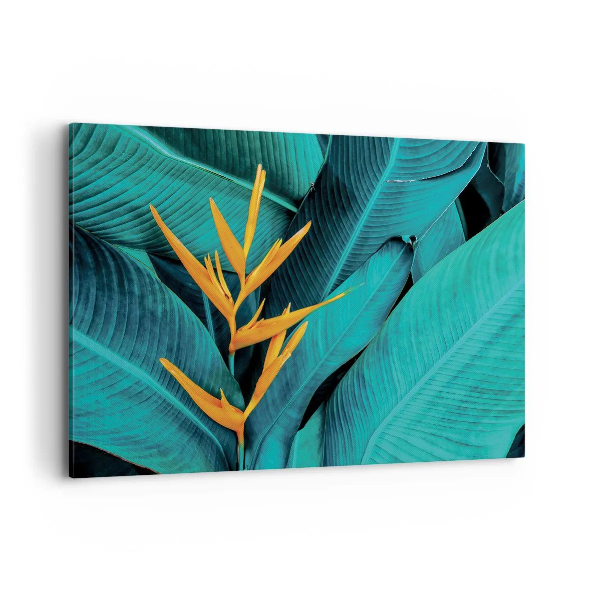 Cuadro sobre lienzo - Impresión de Imagen - Una flor exótica sobre un fondo de hojas de plátano en tonos turquesas. - 120x80cm - Flor del Edén - Decoración de pared moderna para salón y dormitorio ARTTOR