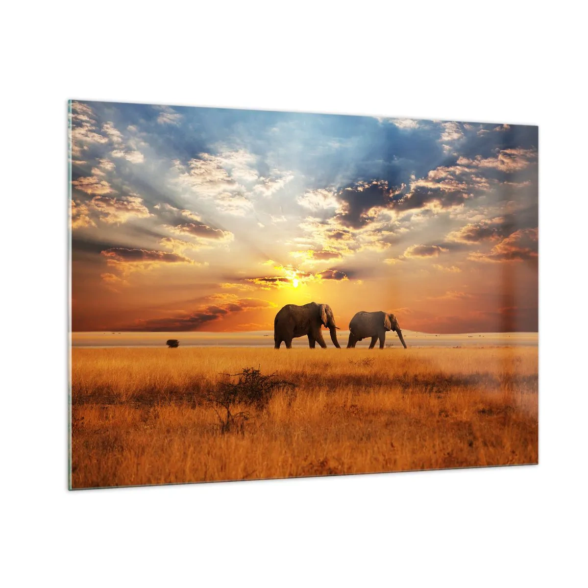 Cuadro sobre vidrio - Impresiones sobre Vidrio - Elefantes en la sabana africana al atardecer - 100x70cm - Un paseo en familia - Decoración de pared moderna para salón y dormitorio ARTTOR