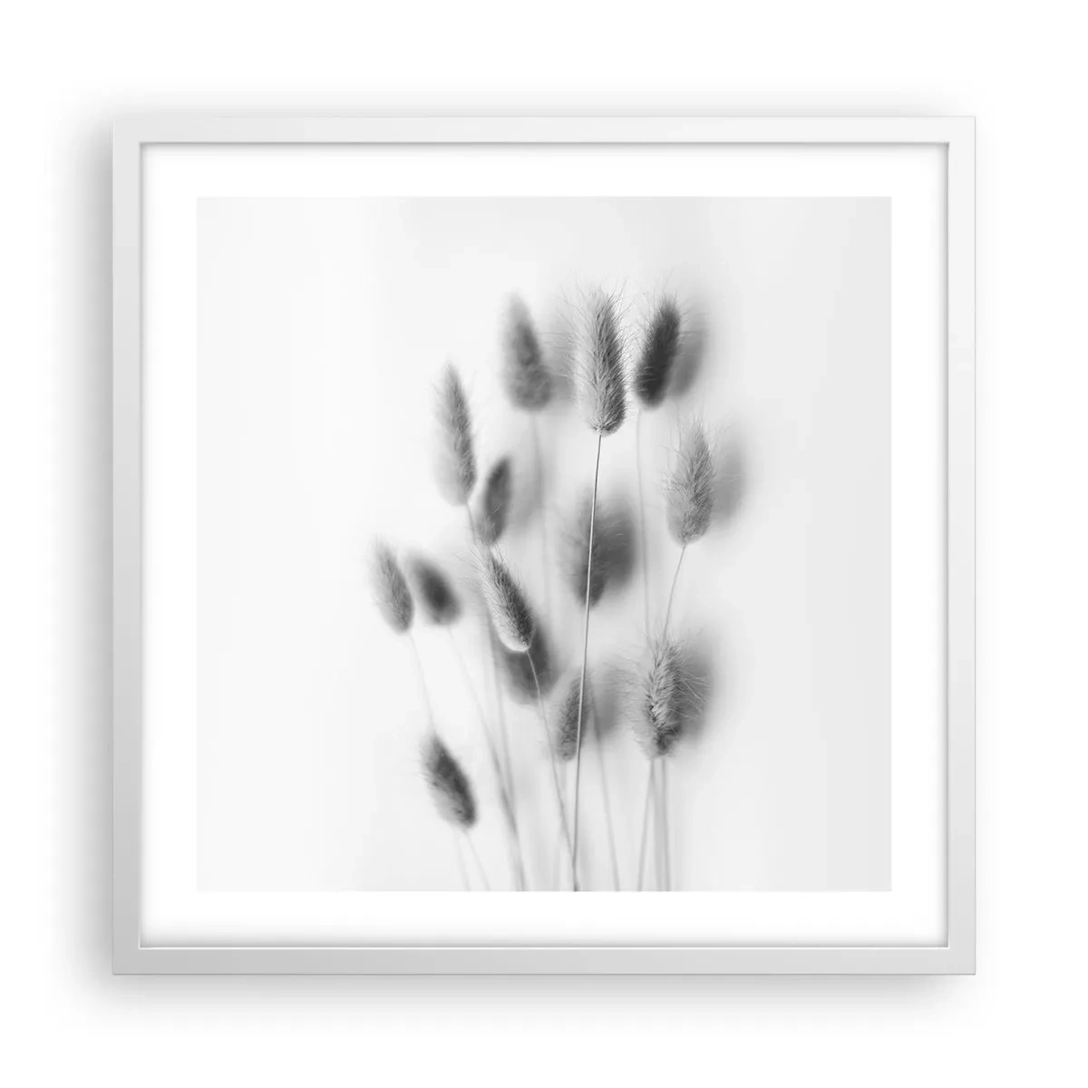 Póster en marco blanco - Esponjas naturales - 50x50 cm