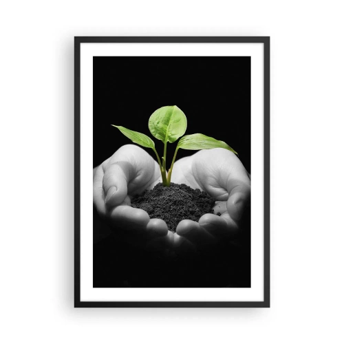 Póster en marco negro - Una planta en las manos simbolizando la vida y la naturaleza. - 50x70cm - Amo la naturaleza, la protejo - Decoración de pared moderna para salón y dormitorio ARTTOR