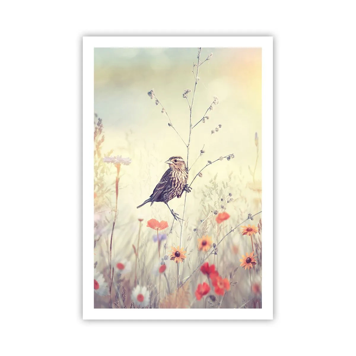 Póster - Retrato de pájaro con prado de fondo - 61x91 cm
