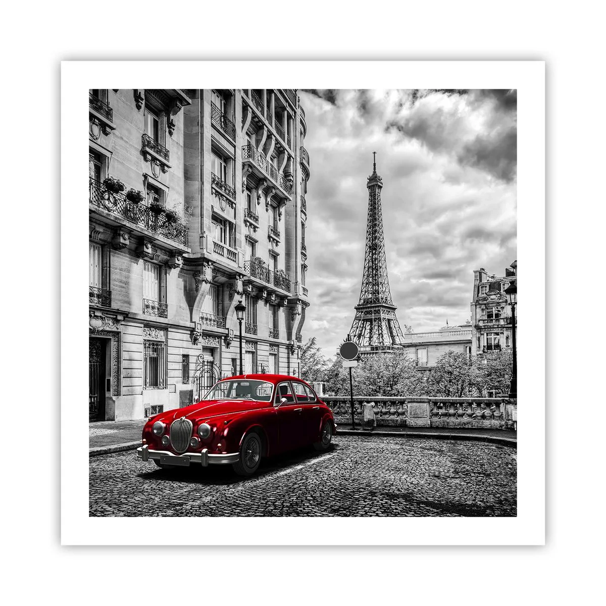 Póster - Un depredador en la ciudad - 60x60 cm