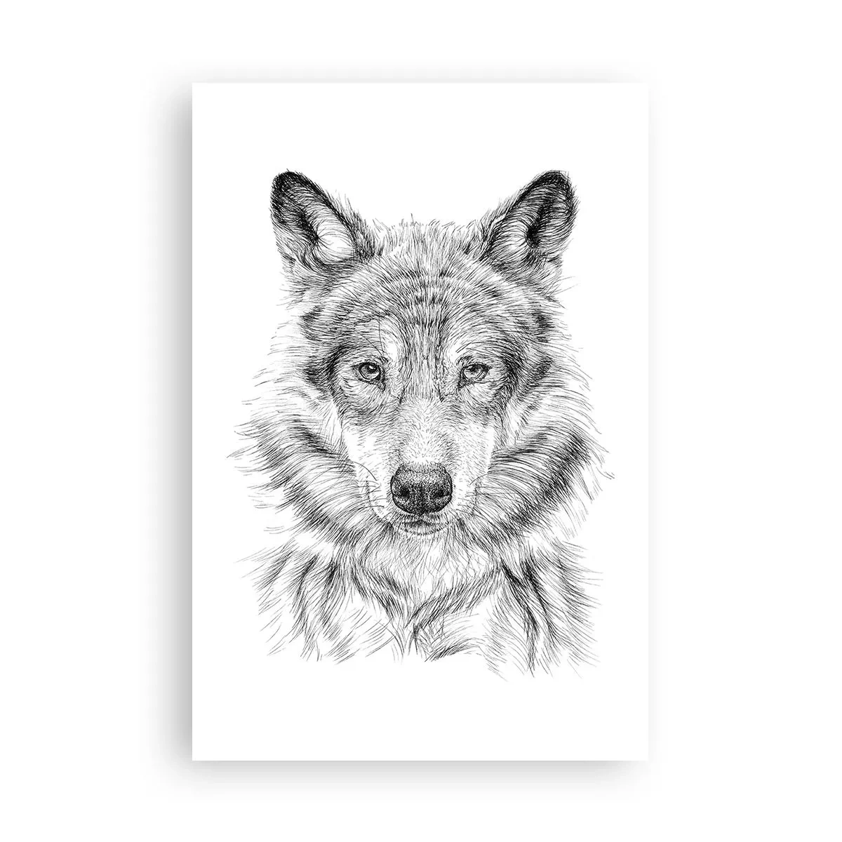 Póster - Un líder nato - 61x91 cm