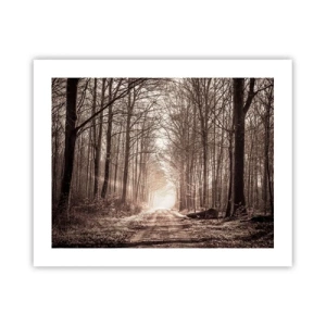 Póster - La catedral del bosque - 50x40 cm