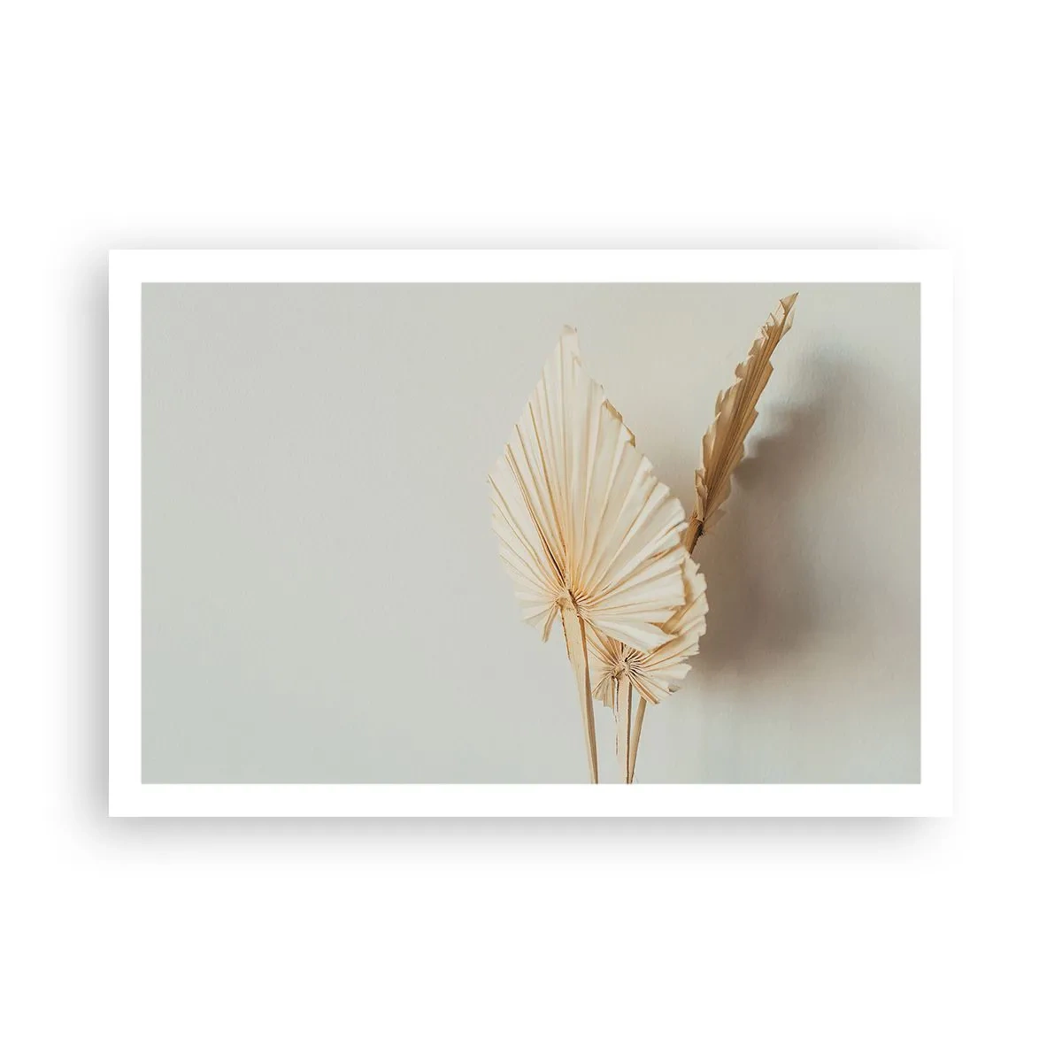 Póster - Armonía y consuelo - 91x61 cm