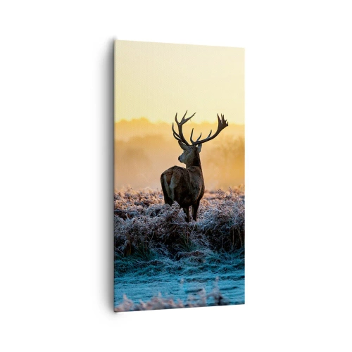 Cuadro sobre lienzo - Impresión de Imagen - Coronado en sus propios dominios - 65x120 cm