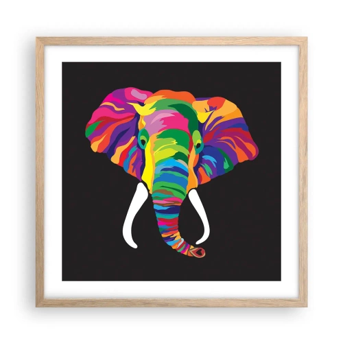 Póster en marco roble claro - El elefante al que le gustaba bañarse en el arco iris - 50x50 cm