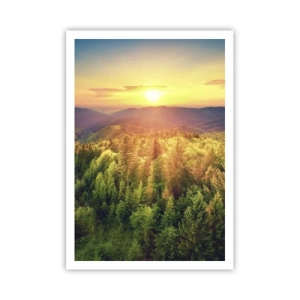 Póster - Desde lo alto - 70x100 cm