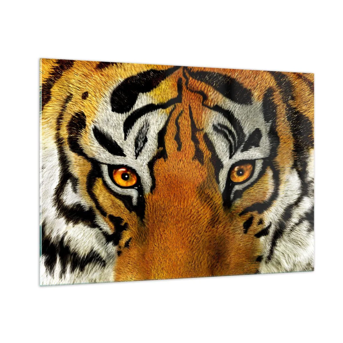 Cuadro sobre vidrio - Impresiones sobre Vidrio - Primer plano de la intensa mirada del tigre. - 100x70cm - Amenazante y hermoso - Decoración de pared moderna para salón y dormitorio ARTTOR