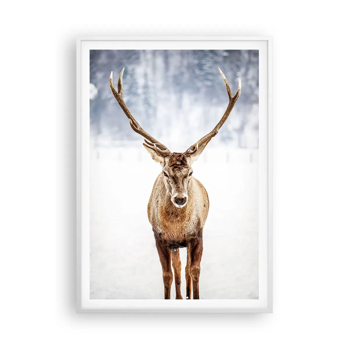 Póster en marco blanco - Directamente desde la niebla de nieve - 70x100 cm