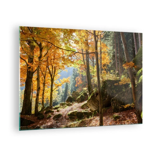 Cuadro sobre vidrio - Impresiones sobre Vidrio - Bosque otoñal con rayos de sol y piedras. - 70x50cm - Tiempo de descanso - Decoración de pared moderna para salón y dormitorio ARTTOR
