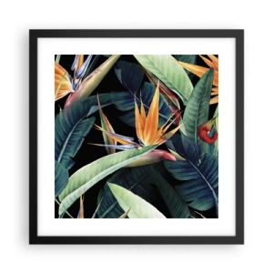 Póster en marco negro - Flores de llamas de los trópicos - 40x40 cm