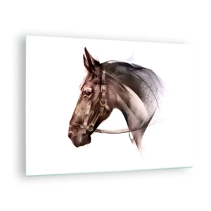 Cuadro sobre vidrio - Impresiones sobre Vidrio - Retrato de caballo en estilo artístico sobre fondo blanco. - 70x50cm - Elegancia - Decoración de pared moderna para salón y dormitorio ARTTOR