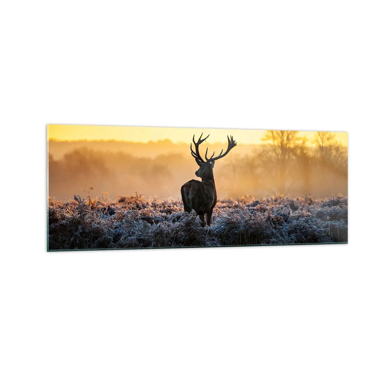 Cuadro sobre vidrio - Impresiones sobre Vidrio - Un ciervo en un claro helado al amanecer. - 140x50cm - Coronado en sus propios dominios - Decoración de pared moderna para salón y dormitorio ARTTOR