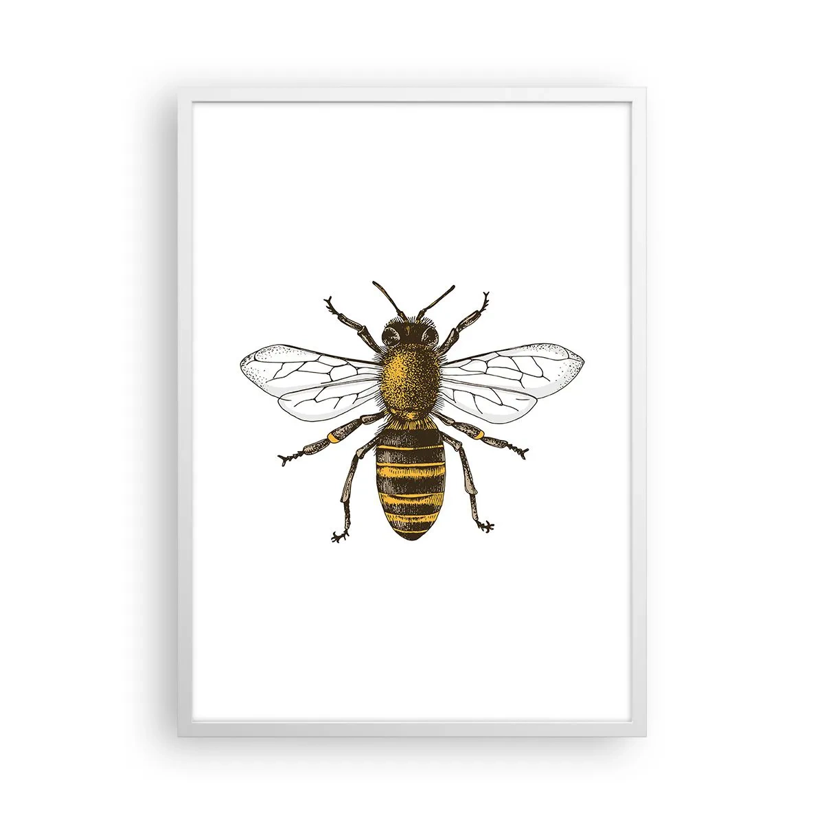 Póster en marco blanco - Bondad natural - 50x70 cm