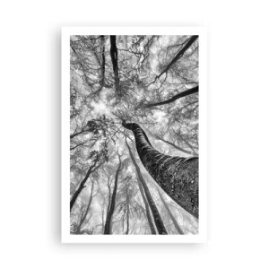 Póster - Carrera hacia la luz - 61x91 cm