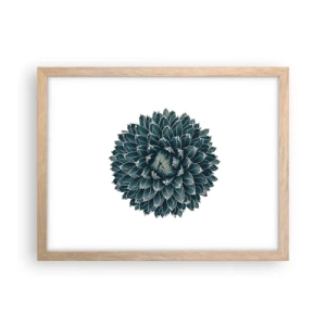 Póster en marco roble claro - Estrella del desierto - 40x30 cm