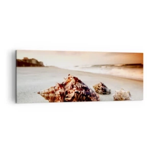 Cuadro sobre lienzo - Impresión de Imagen - Conchas en la playa al atardecer - 140x50cm - Los exiliados de las olas - Decoración de pared moderna para salón y dormitorio ARTTOR