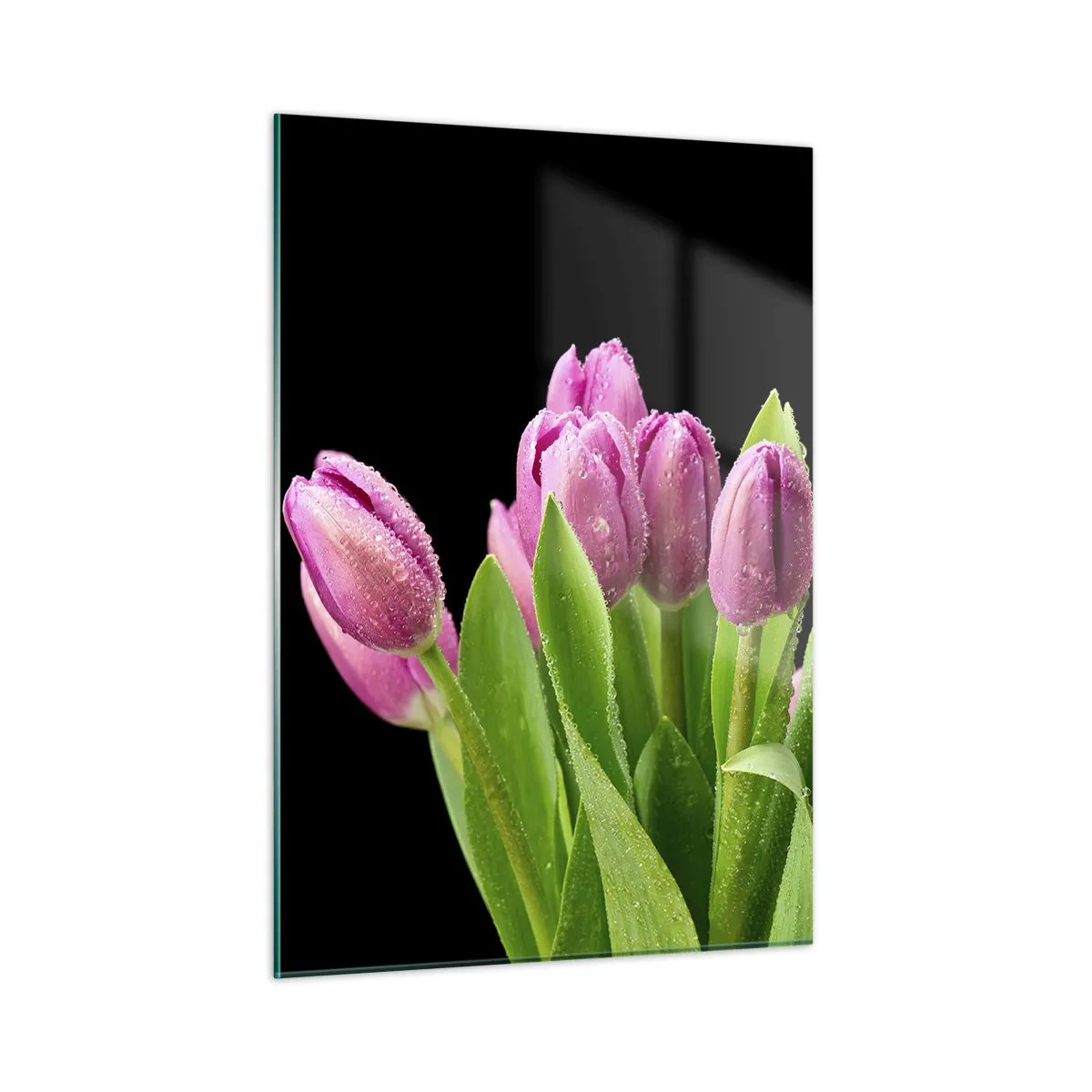 Cuadro sobre vidrio - Impresiones sobre Vidrio - Un ramo de tulipanes rosas cubiertos de gotas de agua sobre un fondo negro. - 50x70cm - La alegría de la primavera - Decoración de pared moderna para salón y dormitorio ARTTOR