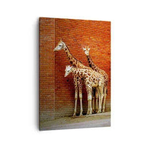 Cuadro sobre lienzo - Impresión de Imagen - Cuatro jirafas contra una pared de ladrillos en un entorno artístico. - 50x70cm - ¿Ves alguna acacia? - Decoración de pared moderna para salón y dormitorio ARTTOR