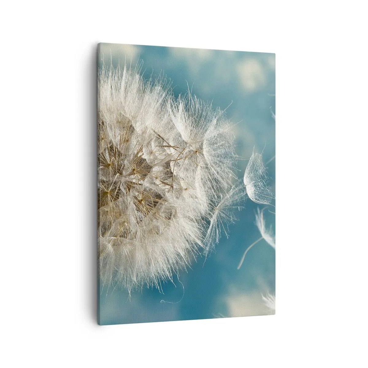 Cuadro sobre lienzo - Impresión de Imagen - Un diente de león desperdigado contra un cielo azul. - 50x70cm - El aliento de un ángel - Decoración de pared moderna para salón y dormitorio ARTTOR