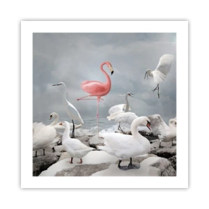 Póster - ¿De dónde vengo? - 50x50 cm