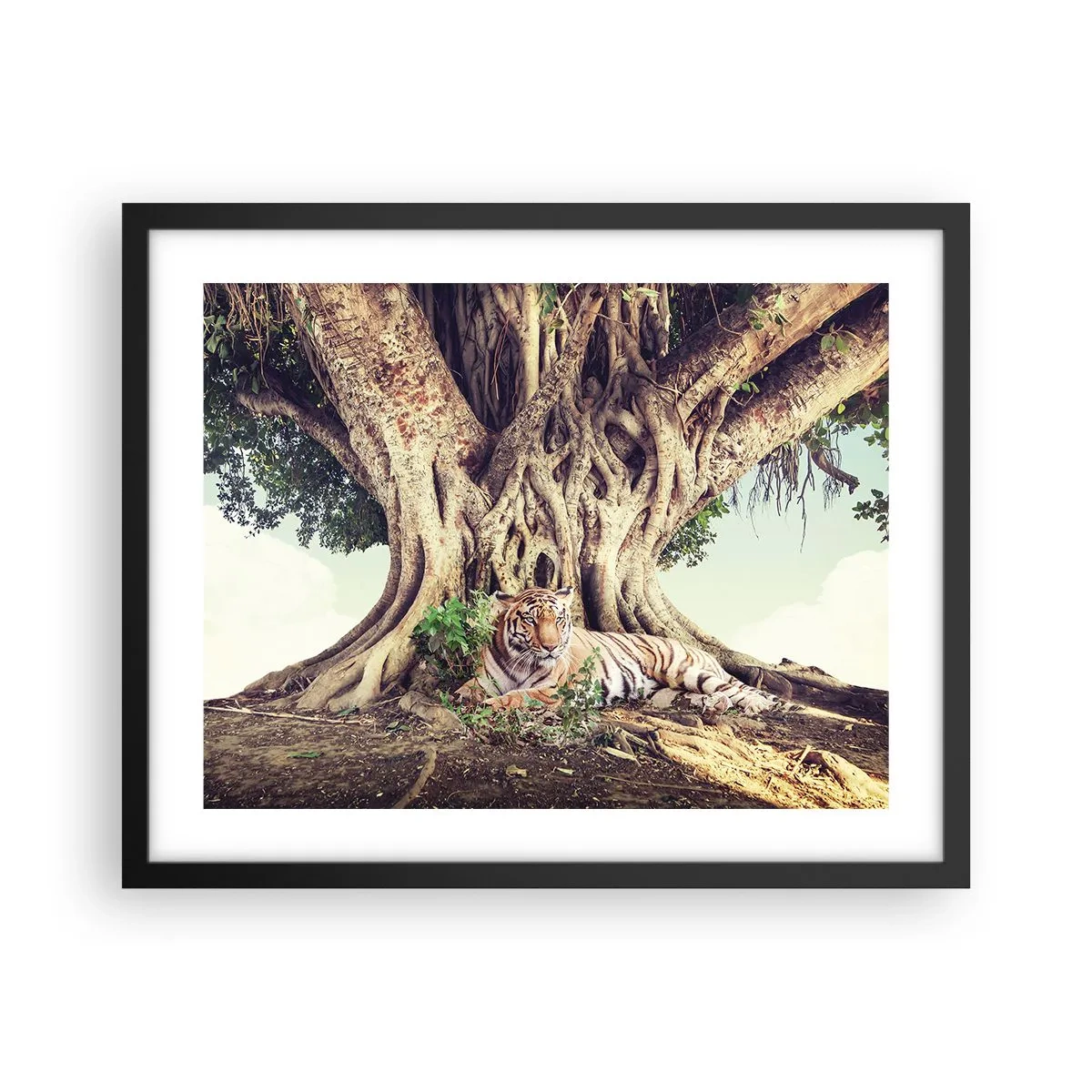 Póster en marco negro - Una visión desde el Génesis - 50x40 cm