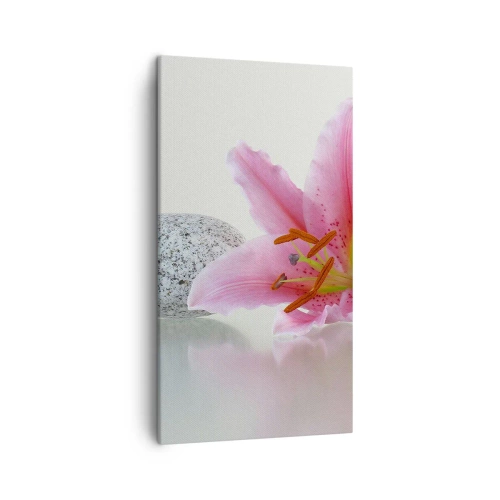 Cuadro sobre lienzo - Impresión de Imagen - Estudio en rosa, gris y blanco - 45x80 cm