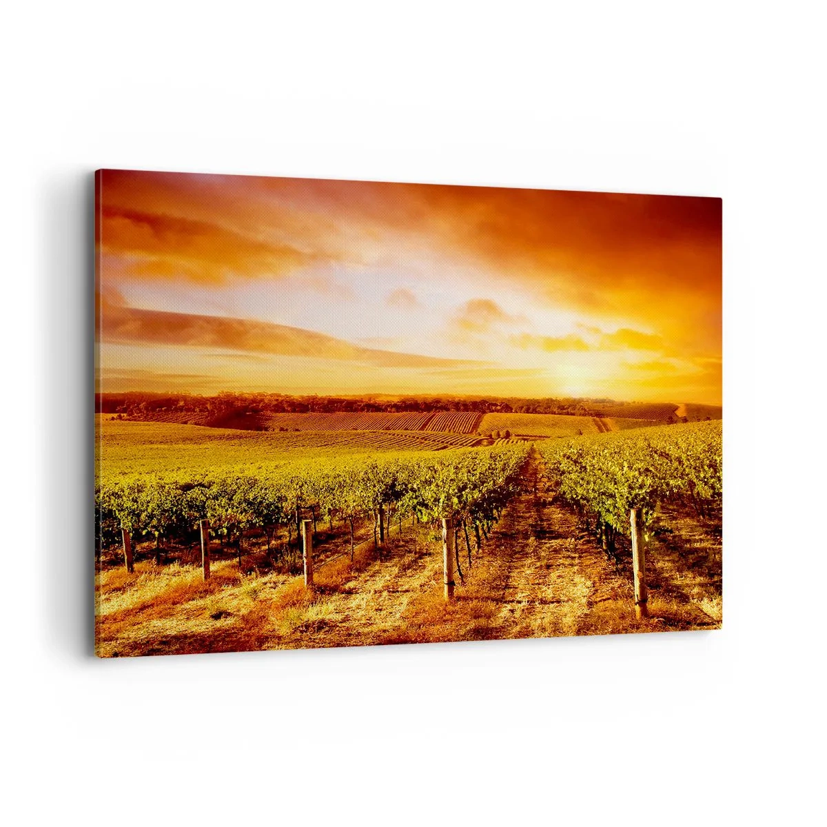 Cuadro sobre lienzo - Impresión de Imagen - Viñedo al atardecer con tonos cálidos del cielo. - 120x80cm - Delicadamente afrutado con un toque de sol - Decoración de pared moderna para salón y dormitorio ARTTOR
