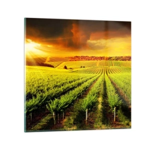 Cuadro sobre vidrio - Impresiones sobre Vidrio - Bajo el sol de Australia - 50x50 cm