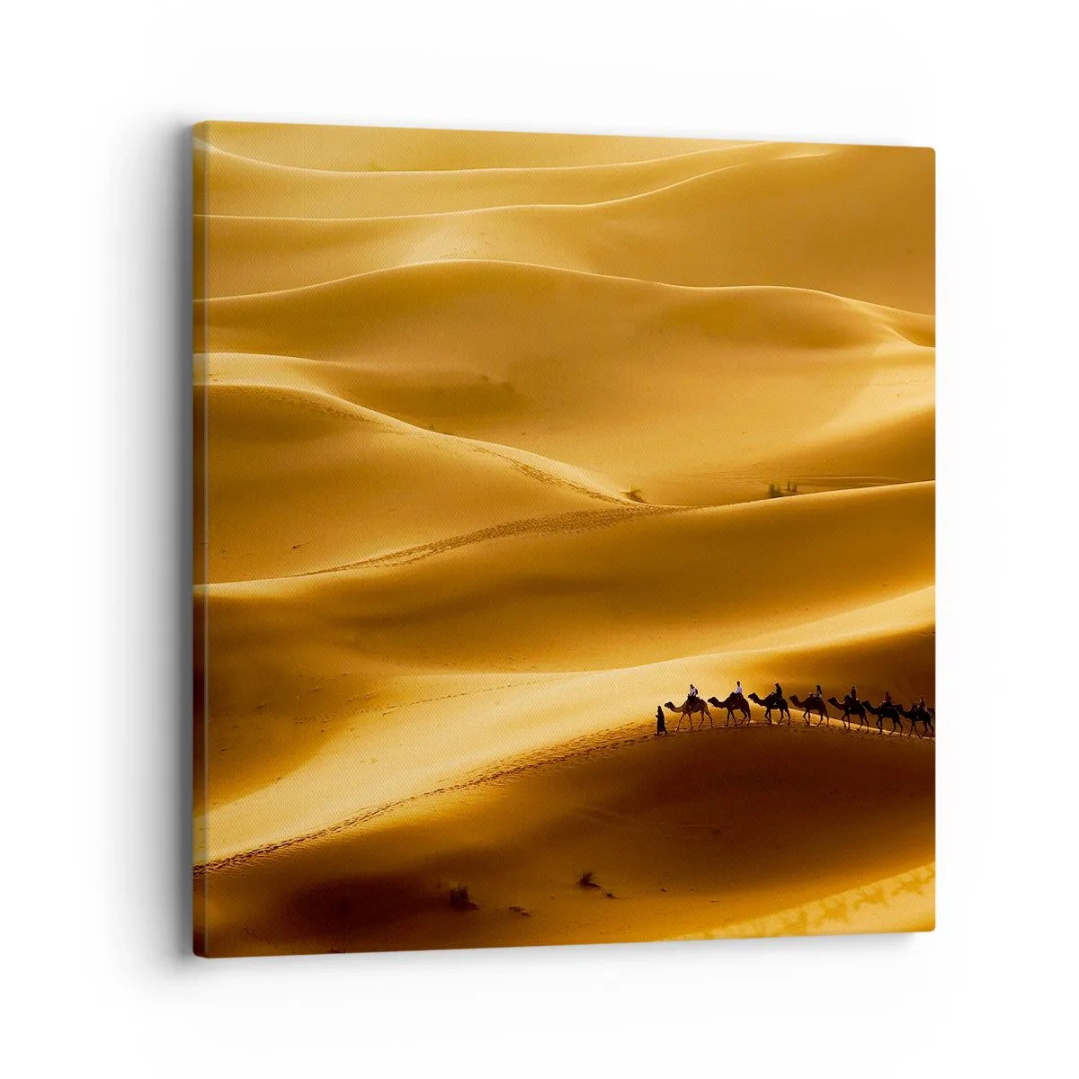Cuadro sobre lienzo - Impresión de Imagen - Caravana sobre las olas del desierto - 40x40 cm