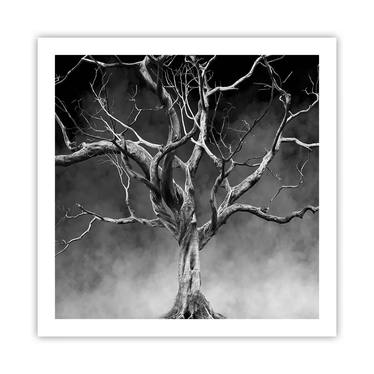 Póster - Primordial y sagrado - 60x60 cm
