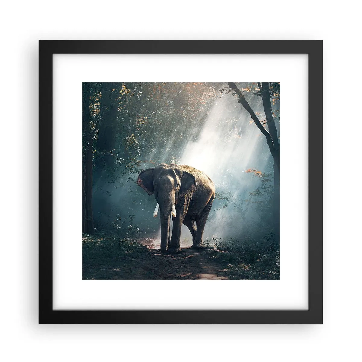 Póster en marco negro - Un paseo tranquilo - 30x30 cm