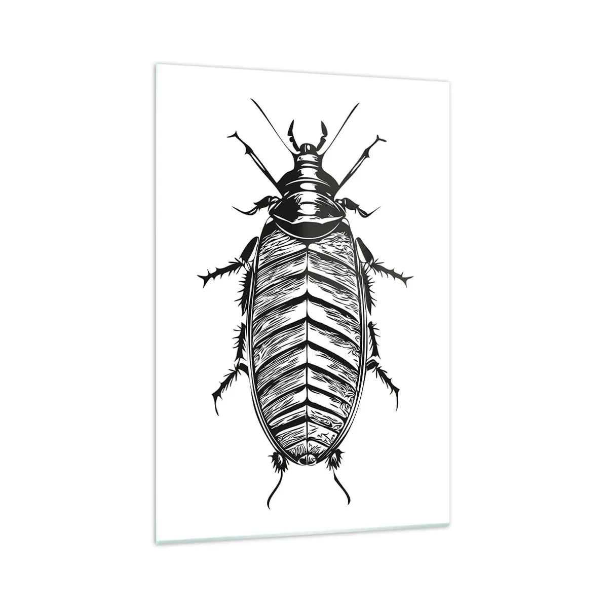 Cuadro sobre vidrio - Impresiones sobre Vidrio - Gráfico de un insecto en blanco y negro sobre un fondo blanco. - 70x100cm - ¡Qué espécimen! - Decoración de pared moderna para salón y dormitorio ARTTOR