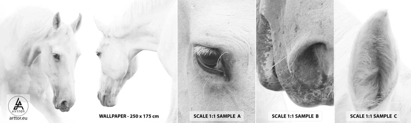 Muestra De Fotomural Standard Eco - ¿Es esto realmente la amistad...? - Caballos, Naturaleza, animales - 100x30 cm