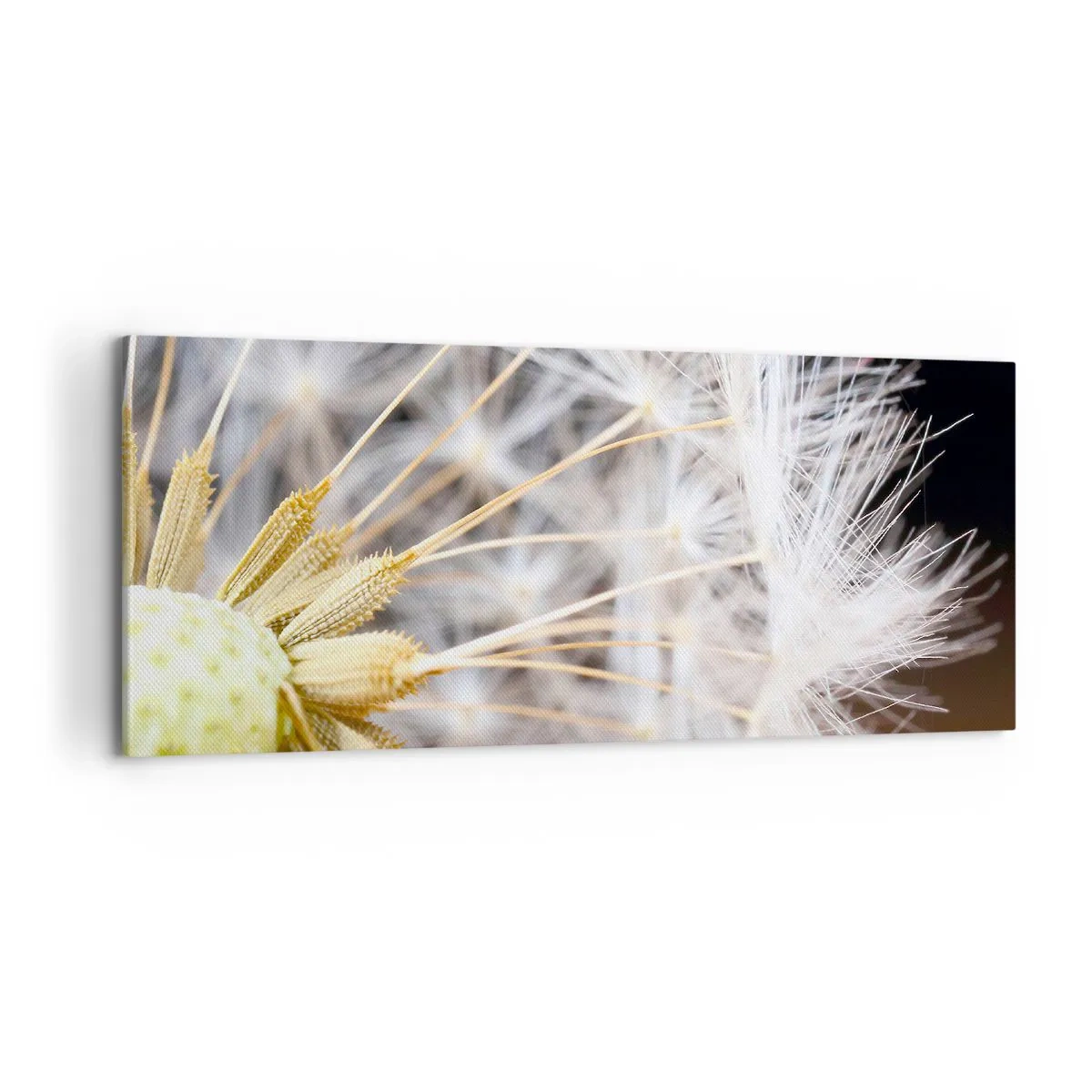 Cuadro sobre lienzo - Impresión de Imagen - Justo antes de volar - 100x40 cm