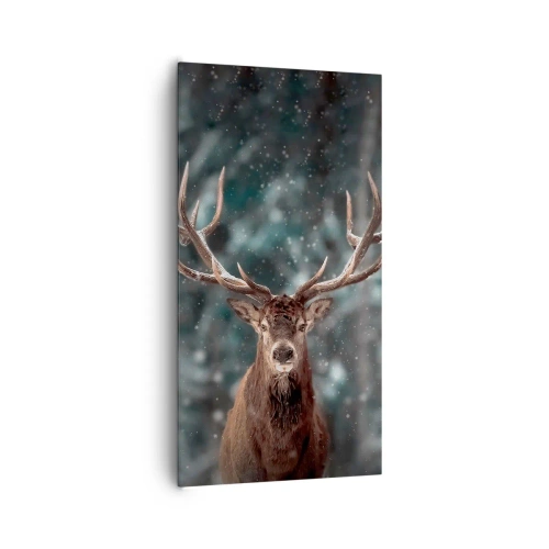 Cuadro sobre lienzo - Impresión de Imagen - Coronado rey del bosque - 65x120 cm