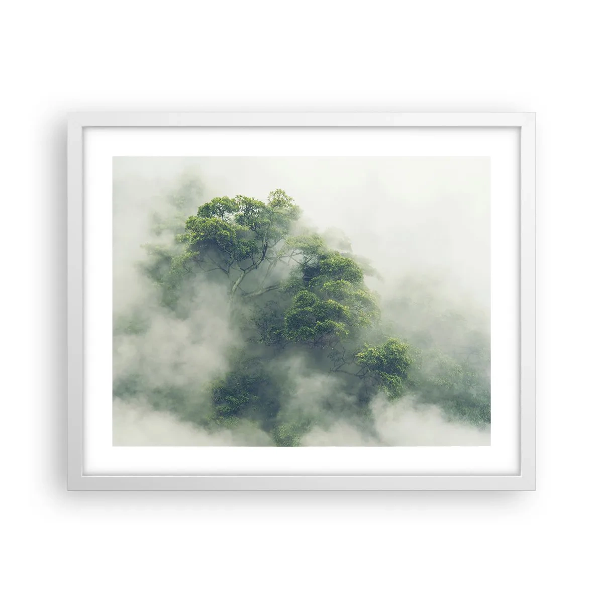 Póster en marco blanco - Envuelto en niebla - 50x40 cm