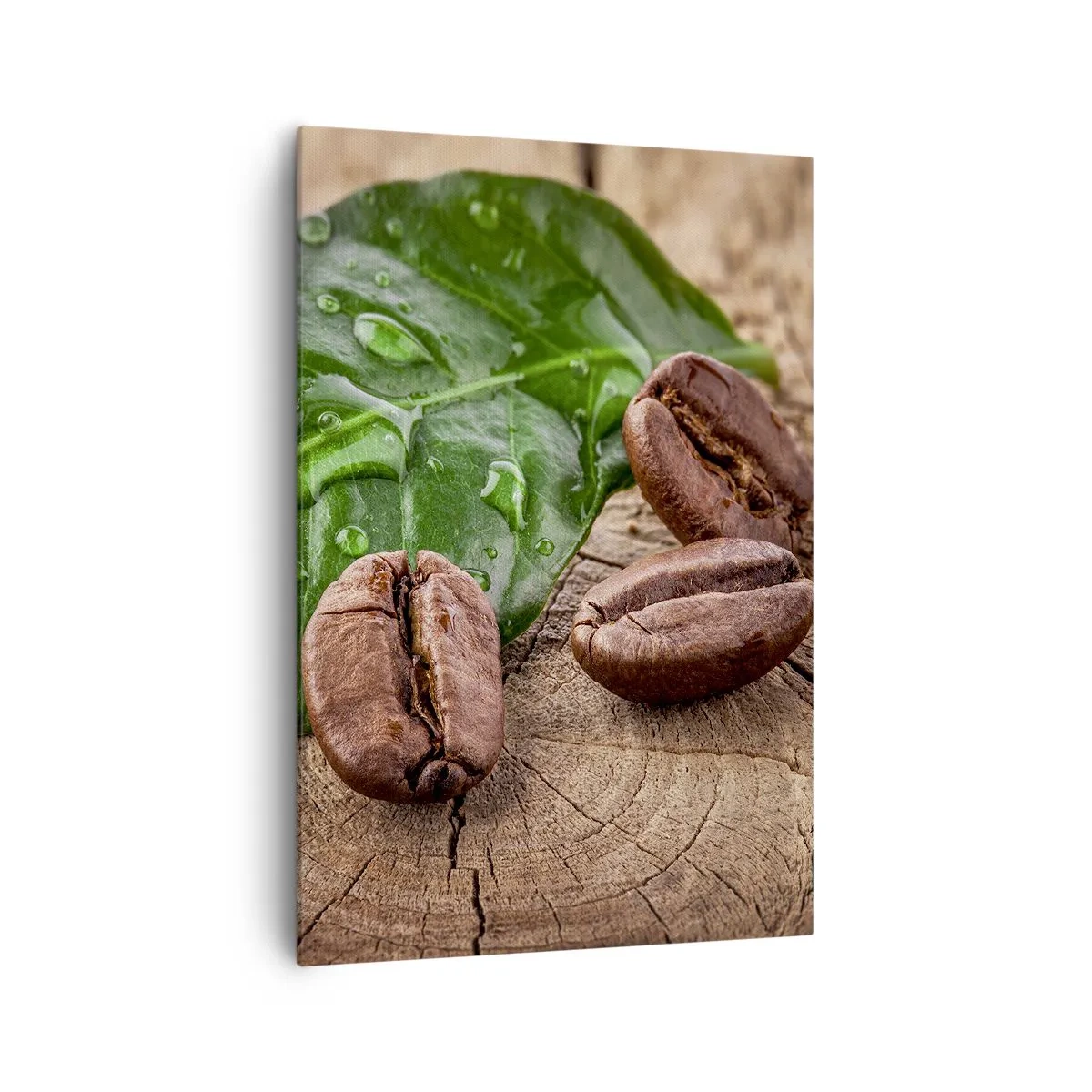 Cuadro sobre lienzo - Impresión de Imagen - Granos de café y hojas verdes sobre un fondo de madera - 70x100cm - El auténtico y negro - Decoración de pared moderna para salón y dormitorio ARTTOR