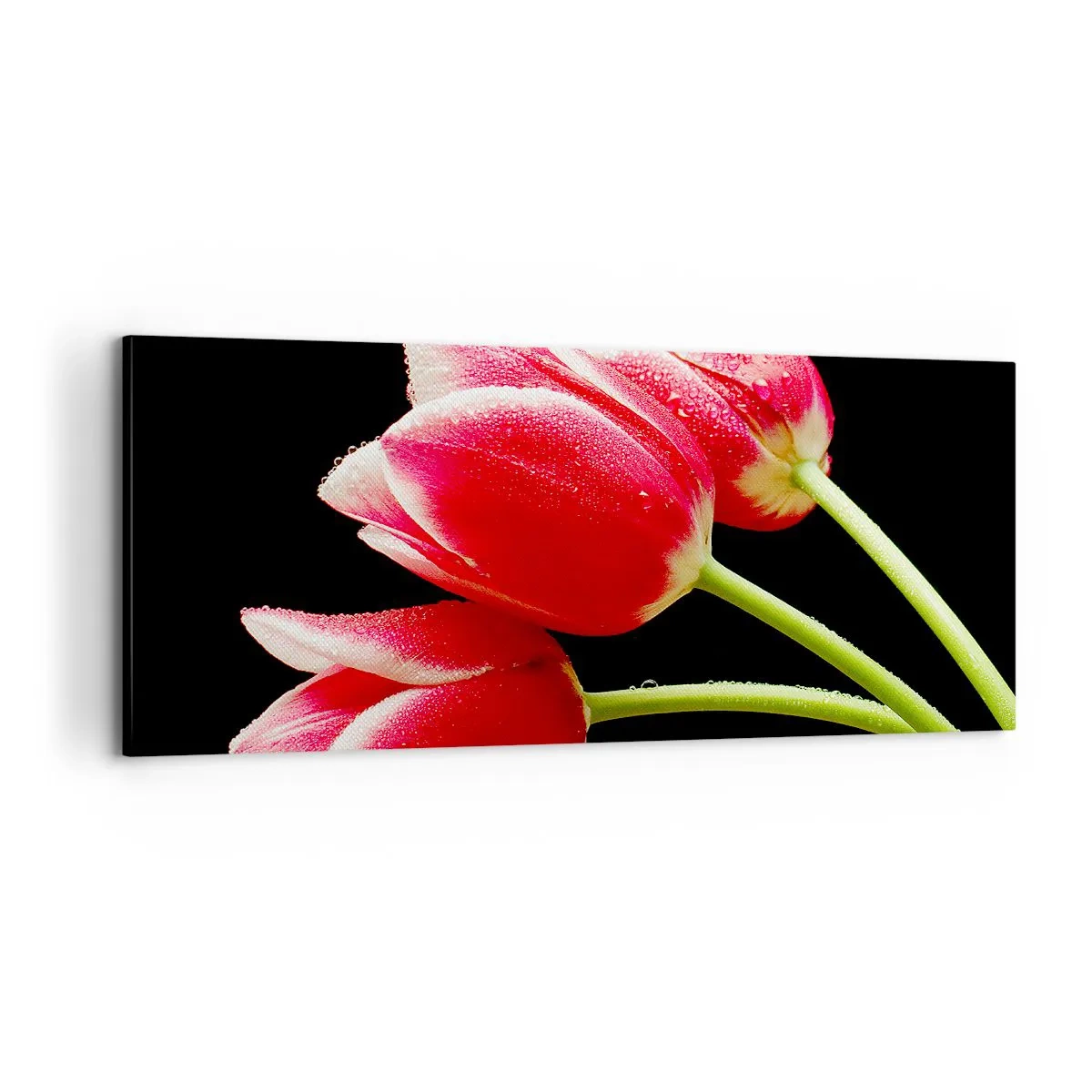 Cuadro sobre lienzo - Impresión de Imagen - Promesa de amor puro - 100x40 cm
